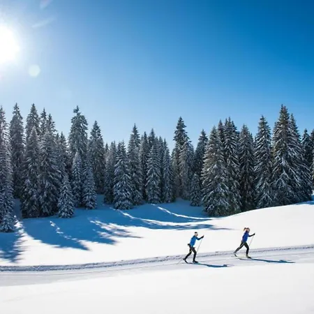 Nouveau ! Personnes Au Pied Des Pistes Le Revard Appartement